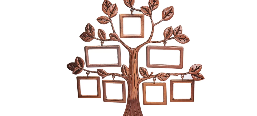 Cómo se reparte la herencia si no hay testamento Cómo se reparte la herencia si no hay testamento